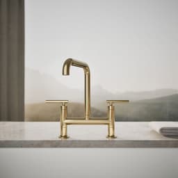 image focused on single product story