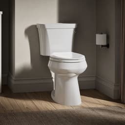 image focused on single product story
