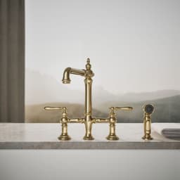 image focused on single product story