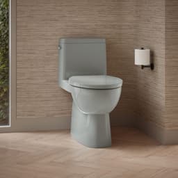 image focused on single product story