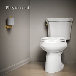 image focused on single product story