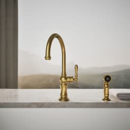 image focused on single product story