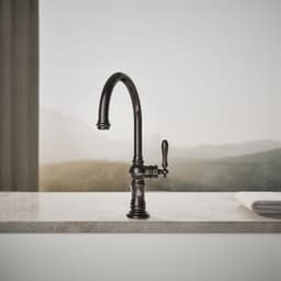 image focused on single product story