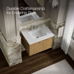 image focused on single product story