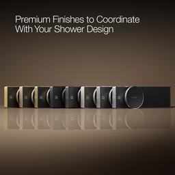 Anthem Digital control - image 10