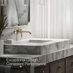 image focused on single product story