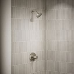 image focused on single product story