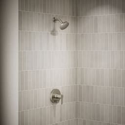 image focused on single product story