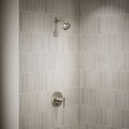 image focused on single product story