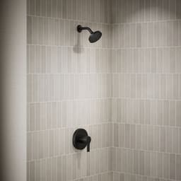image focused on single product story
