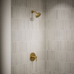 image focused on single product story