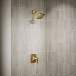 image focused on single product story