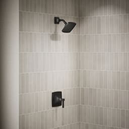 image focused on single product story