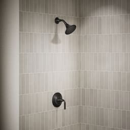 image focused on single product story