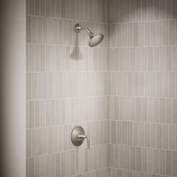 image focused on single product story