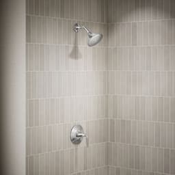 image focused on single product story
