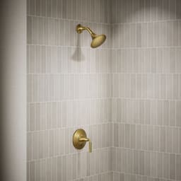 image focused on single product story