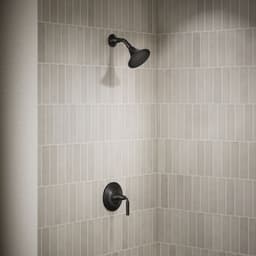 image focused on single product story