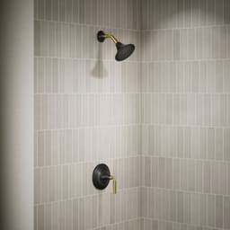 image focused on single product story