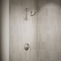 image focused on single product story