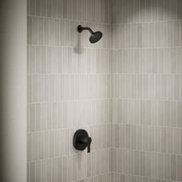 image focused on single product story