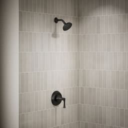 image focused on single product story