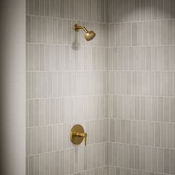image focused on single product story