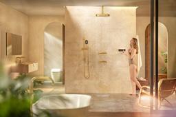 Statement Oblong three-function handshower, 1.75 gpm - image 17