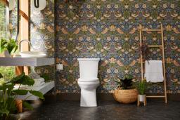 Corbelle Two-piece elongated toilet with skirted trapway, 1.28 gpf - image 13