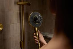 Silestone Quartz 31-in Backsplash - image 21