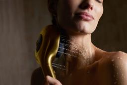 Silestone Quartz 31-in Backsplash - image 23