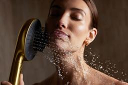 Silestone Quartz 31-in Backsplash - image 22