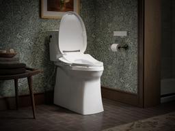 PureWash E725 Elongated bidet toilet seat with remote control - image 15