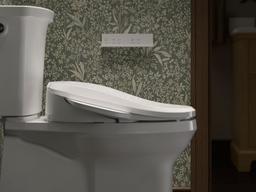 PureWash E725 Elongated bidet toilet seat with remote control - image 18