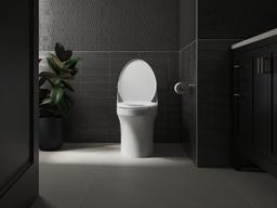 Glissade ReadyLatch Quiet-CloseE elongated toilet seat - image 14