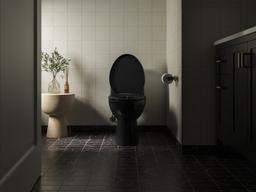 Impro ReadyLatch Quiet-CloseE elongated toilet seat - image 27