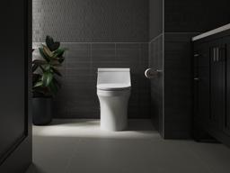 Glissade ReadyLatch Quiet-CloseE elongated toilet seat - image 17