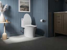 Carbyne Quiet-CloseE elongated toilet seat - image 15