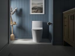 Carbyne Quiet-CloseE elongated toilet seat - image 20