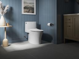 Carbyne Quiet-CloseE elongated toilet seat - image 18