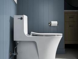 Carbyne Quiet-CloseE elongated toilet seat - image 19