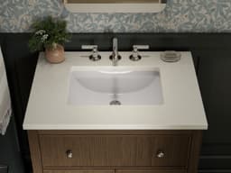 image focused on single product story