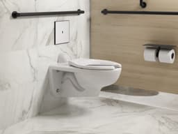 image focused on single product story