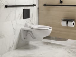 image focused on single product story