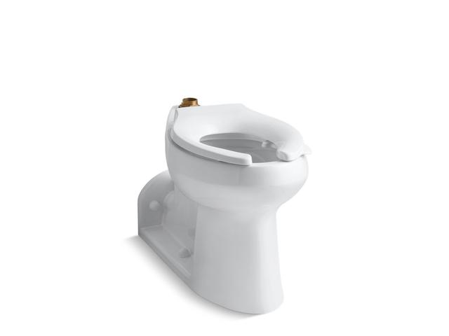 AngleseyE Floor-mount top spud flushometer bowl with bedpan lugs