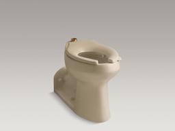 AngleseyE Floor-mount top spud flushometer bowl with bedpan lugs - image 2