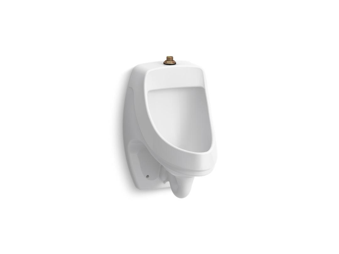 DexterE Washout wall-mount 0.125 gpf urinal with top spud, antimicrobial by Kohler