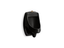 DexterE Washout half-stall 0.125 gpf urinal, top spud - image 4