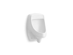 DexterE Washout half-stall 0.125 gpf urinal, rear spud - image 1