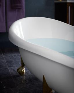 AntiqueE Ball-and-claw feet - image 9